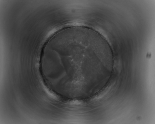 X0000101450063200807071415