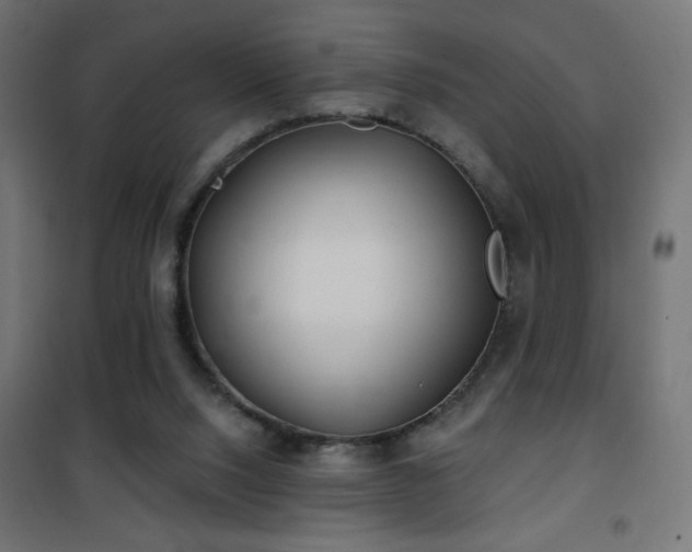 X0000101450064200807071415