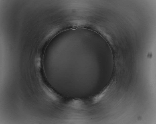 X0000101450067200807071415