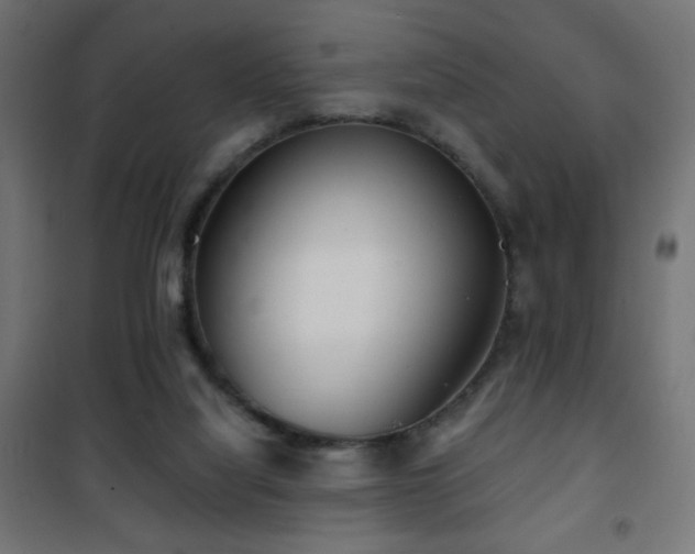 X0000101450068200807071415