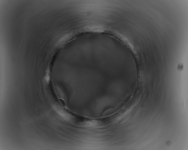 X0000101450069200807071415