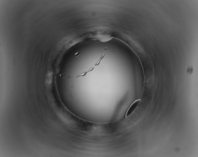 X0000101450070200807071415