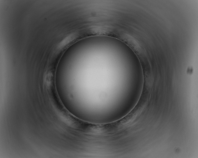 X0000101450071200807071415