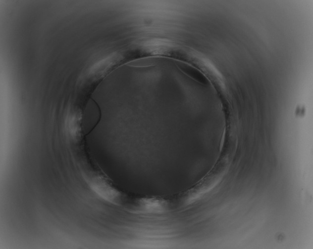 X0000101450073200807071415