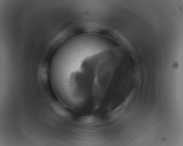 X0000101450074200807071415