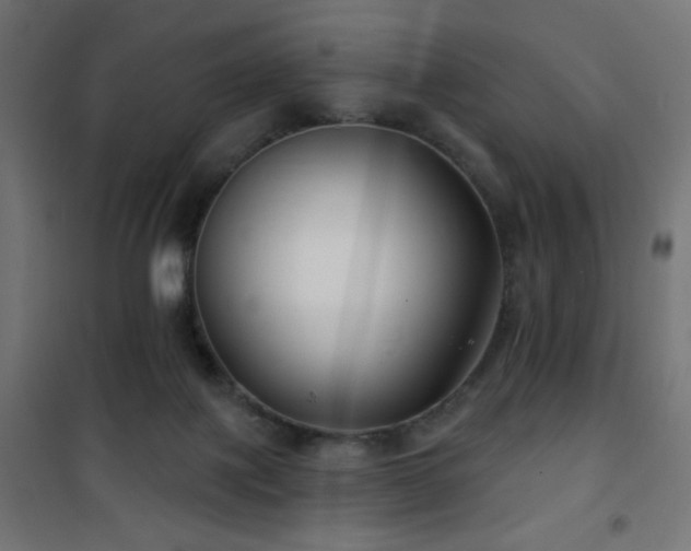 X0000101450075200807071415