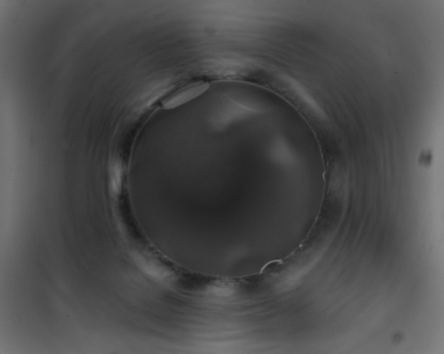 X0000101450076200807071415