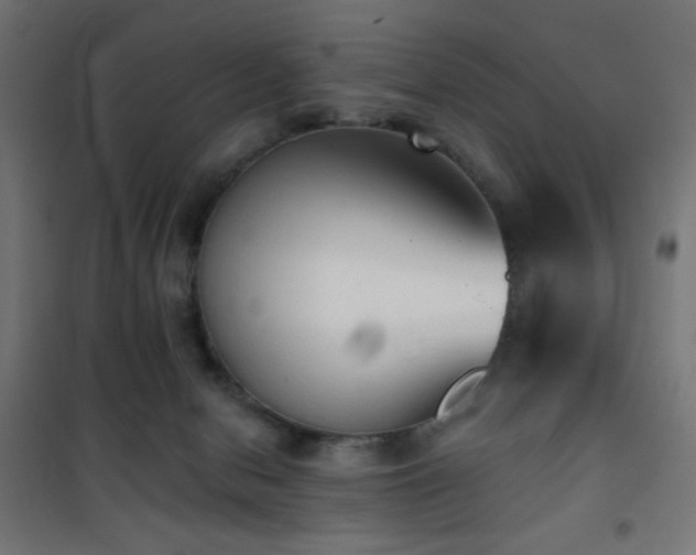 X0000101450078200807071415