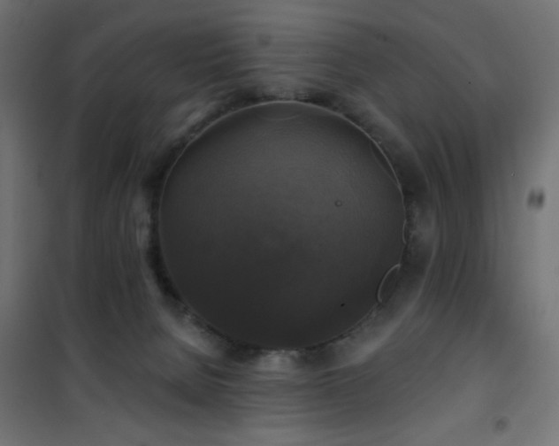 X0000101450080200807071415