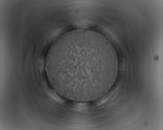 X0000101450081200807071415