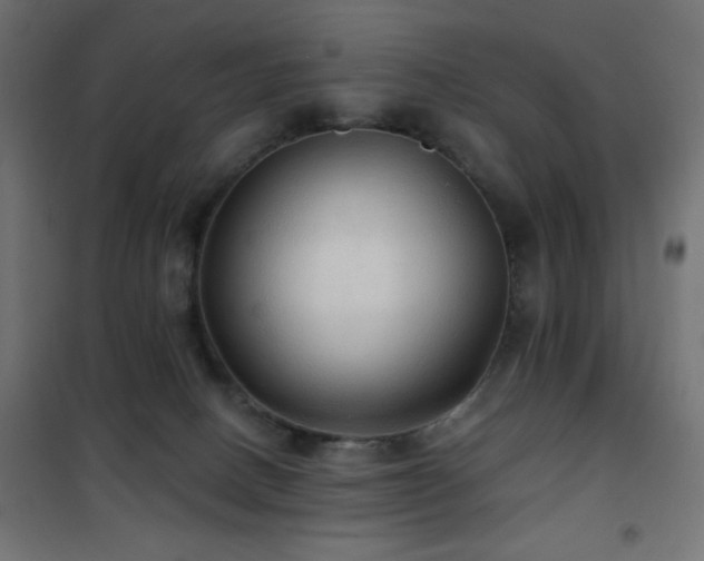 X0000101450082200807071415