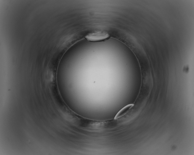 X0000101450084200807071415