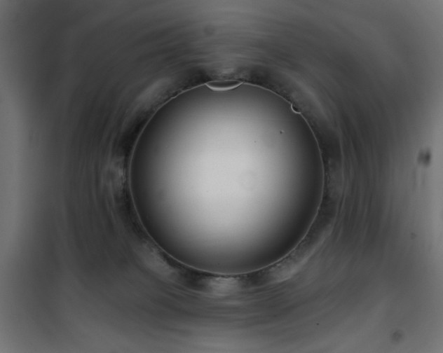 X0000101450085200807071415