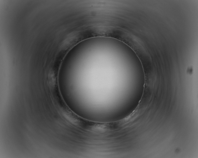 X0000101450086200807071415