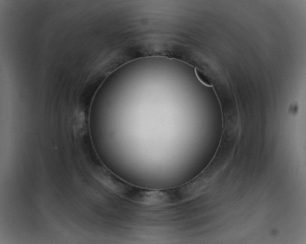 X0000101450087200807071416