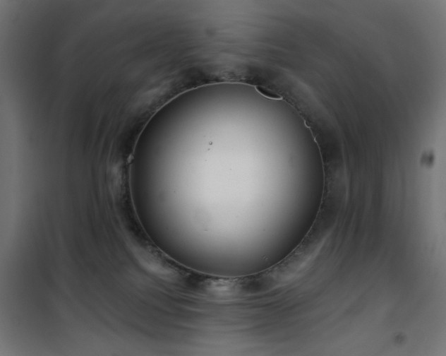 X0000101450088200807071416