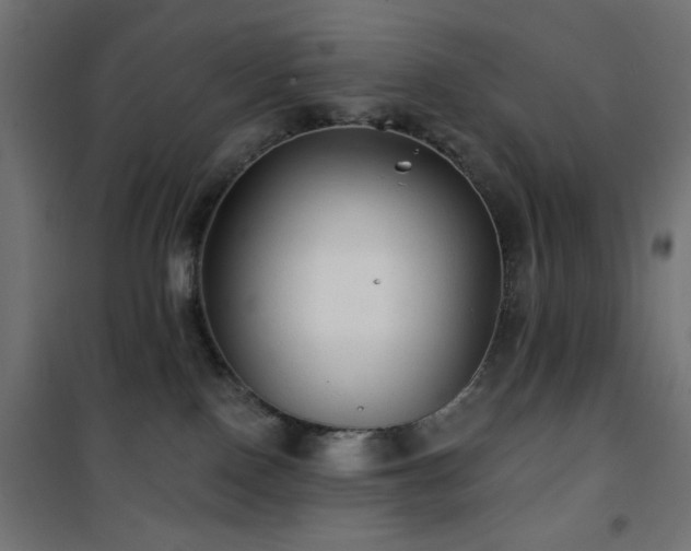 X0000101450090200807071416