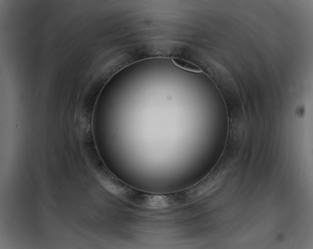 X0000101450091200807071416