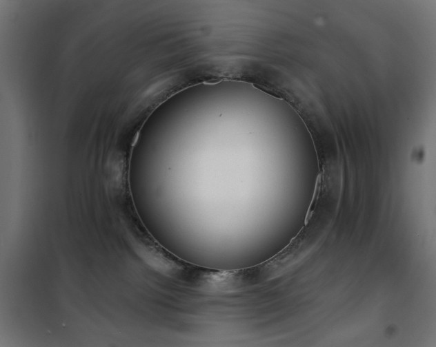 X0000101450092200807071416