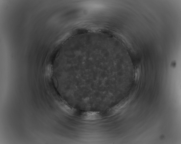 X0000101450093200807071416