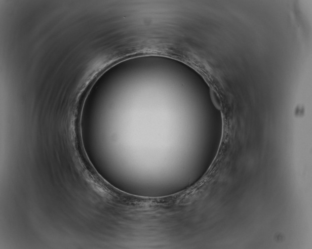 X0000101450098200807071415