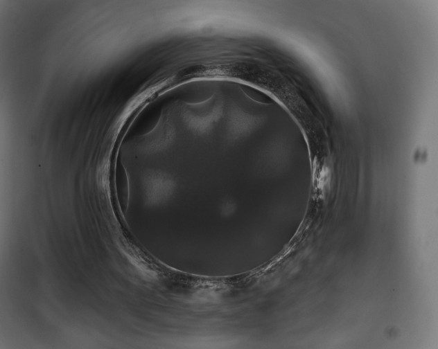 X0000101450099200807071415