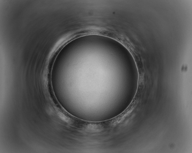 X0000101450101200807071415