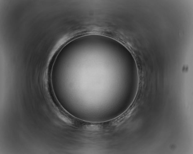 X0000101450102200807071415