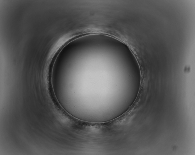 X0000101450103200807071415