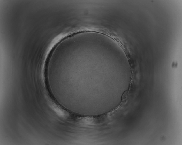 X0000101450104200807071415