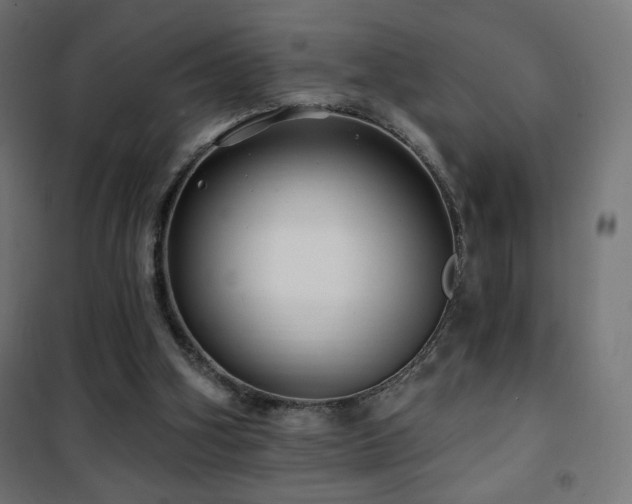 X0000101450106200807071415