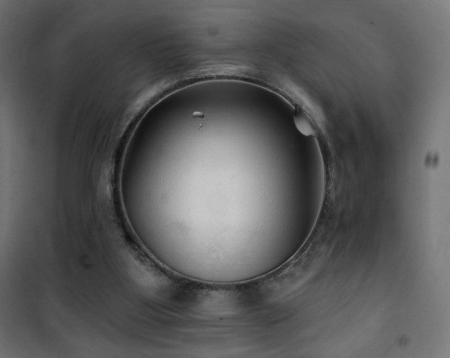 X0000101450107200807071415