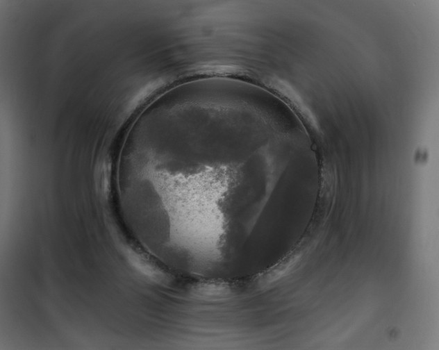 X0000101450110200807071415