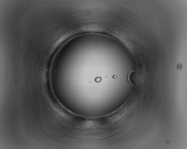 X0000101450111200807071415