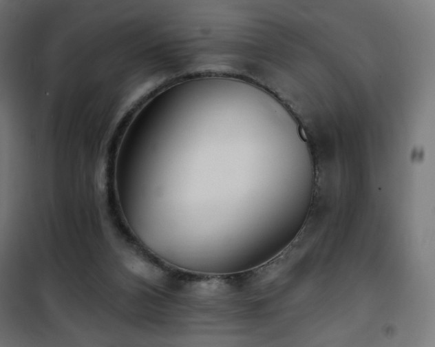 X0000101450112200807071415