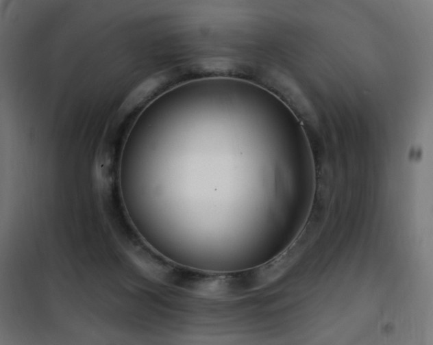 X0000101450116200807071415