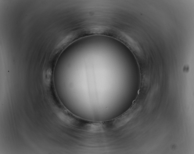 X0000101450118200807071415