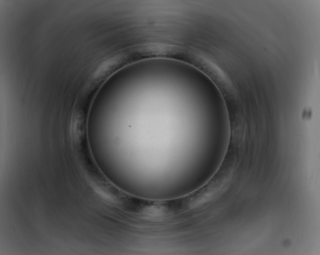 X0000101450119200807071415