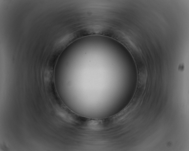 X0000101450126200807071415