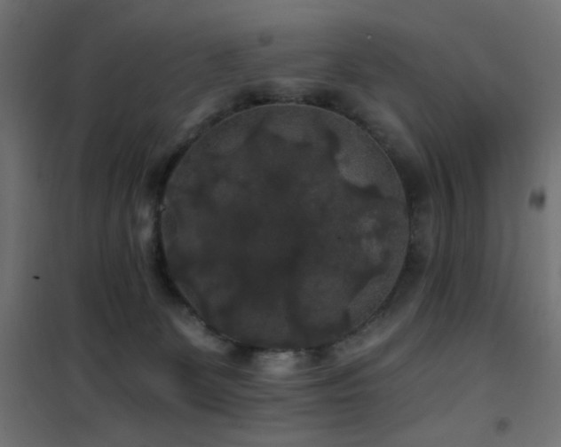 X0000101450131200807071414