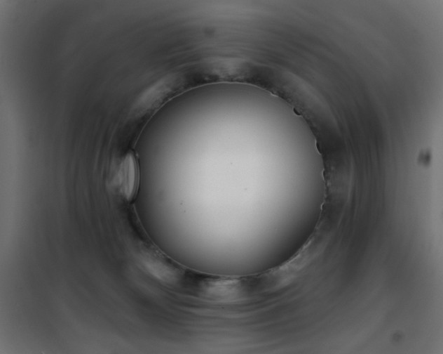 X0000101450132200807071414