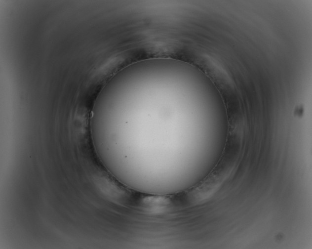 X0000101450133200807071414