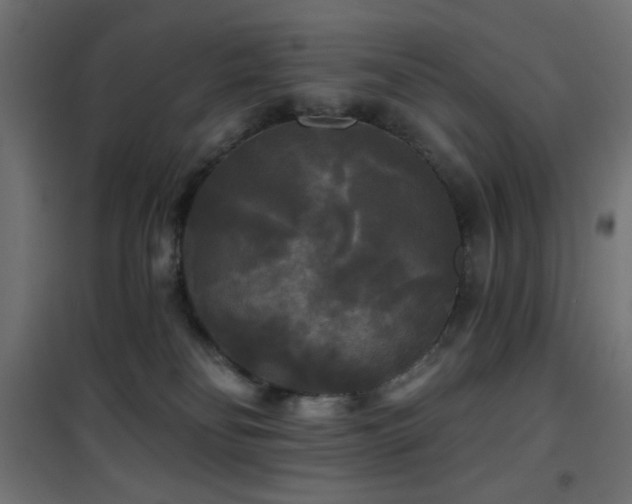 X0000101450134200807071414