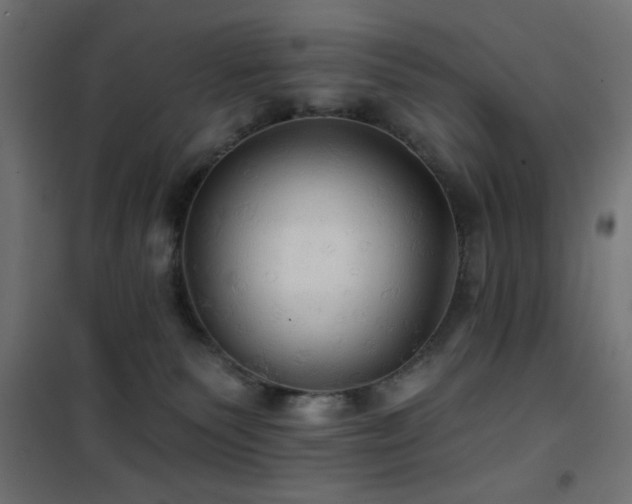 X0000101450135200807071414