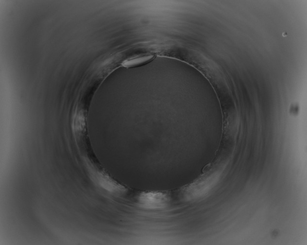 X0000101450137200807071414