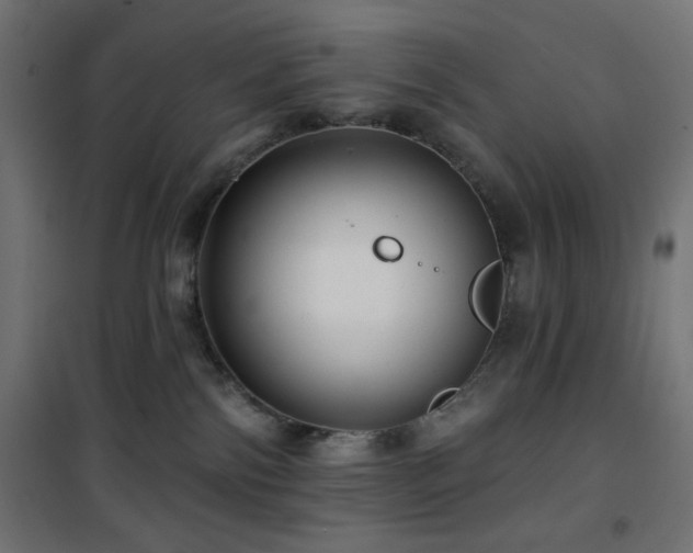 X0000101450138200807071414