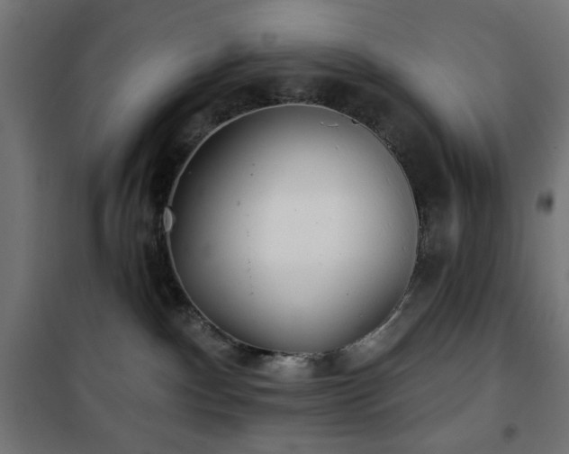 X0000101450140200807071414