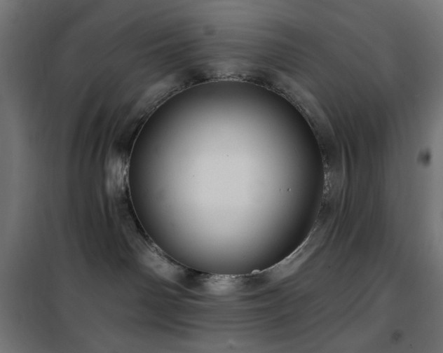 X0000101450142200807071414