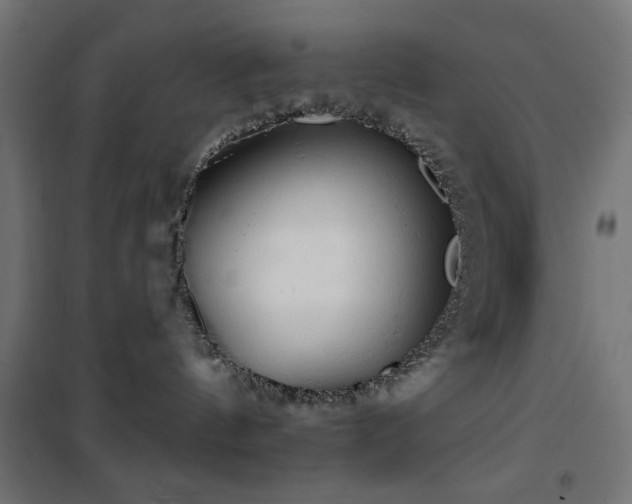 X0000101450144200807071414