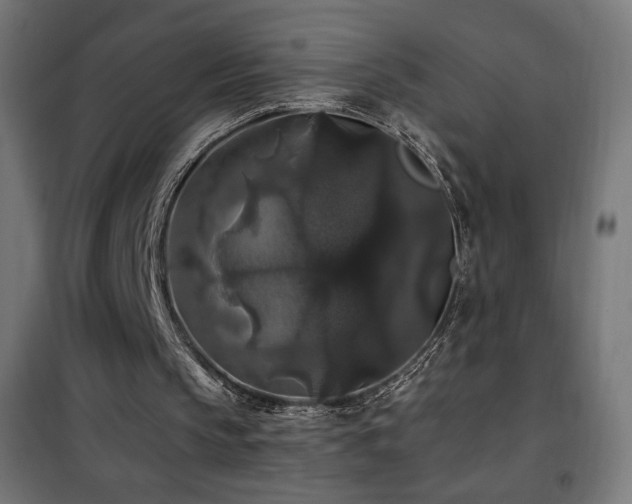 X0000101450145200807071414